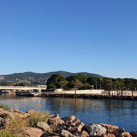 アパート Garden And Sea View Cannes